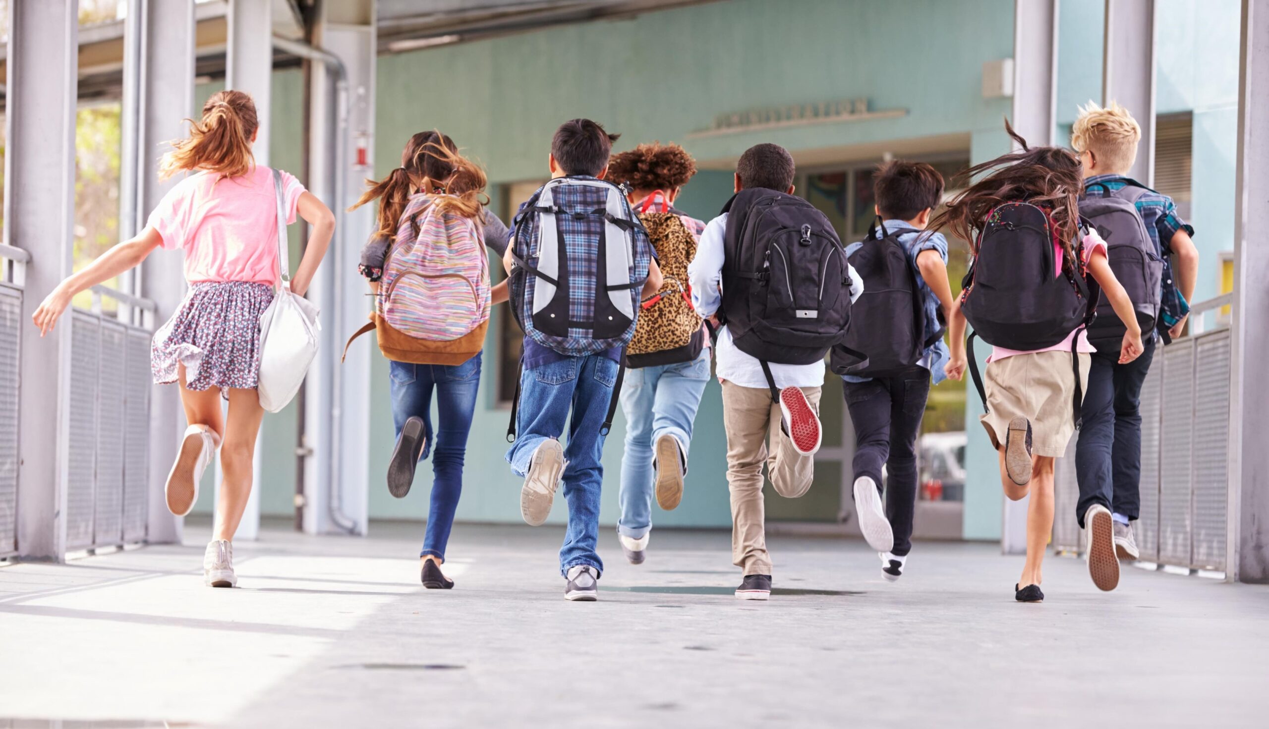 Header - leren en ontwikkelen