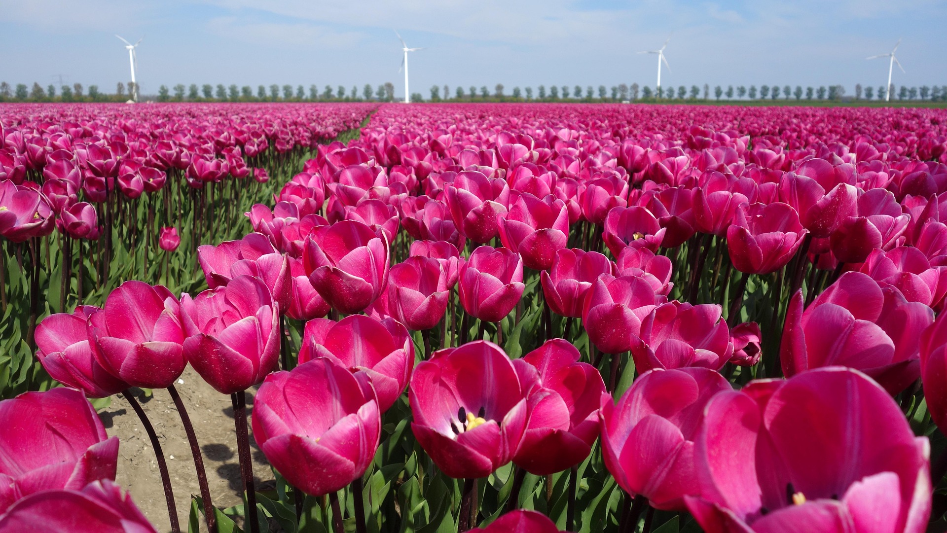 RET Holland Rijnland